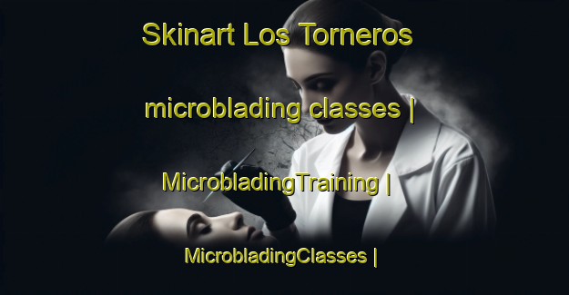 Skinart Los Torneros microblading classes | MicrobladingTraining | MicrobladingClasses | SkinartTraining-Spain